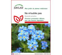 SAFLAX - Ne m'oublie pas - 150 graines - Myosotis
