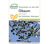 Saflax Olivier - 1 sachet