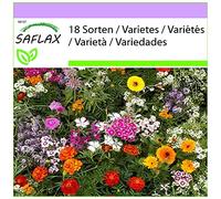 SAFLAX - Parfums enchanteurs - 1000 graines - 18 Sorten