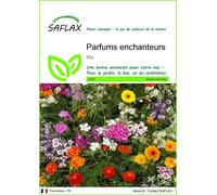 SAFLAX - Parfums enchanteurs - 1000 graines - Mix