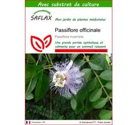 SAFLAX - Passiflore officinale - 5 graines - Avec substrat - Passiflora