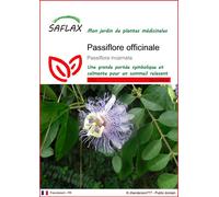 SAFLAX - Passiflore officinale - 5 graines - Passiflora