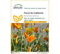 SAFLAX - Pavot de Californie - 1500 graines - Eschscholzia