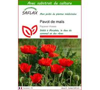 SAFLAX - Pavot de maïs - 27000 graines - Avec substrat - Papaver
