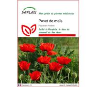 SAFLAX - Pavot de maïs - 27000 graines - Papaver