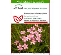 SAFLAX - Petite-centaurée commune - 250 graines - Avec substrat - Centaurium