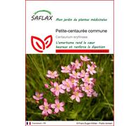 SAFLAX - Petite-centaurée commune - 250 graines - Centaurium