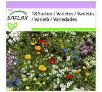 SAFLAX - Petits nains de jardin - 1000 graines - Mix