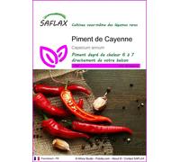 SAFLAX - Piment de Cayenne - 20 graines - Capsicum