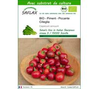 SAFLAX - Piment - Piccante Cilieglia - 10 graines - Avec substrat - Capsicum