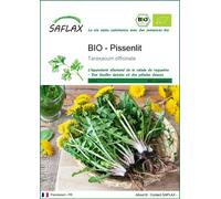 SAFLAX -- Pissenlit - 400 graines - Taraxacum
