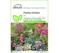 SAFLAX - Plantes d'ombre - 1000 graines - Mix