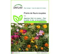 SAFLAX - Prairie de fleurs coupées - 1000 graines - Mix