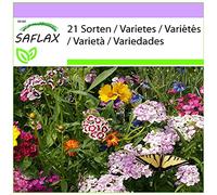 SAFLAX - Prairie de papillons - 1000 graines - 21 Sorten