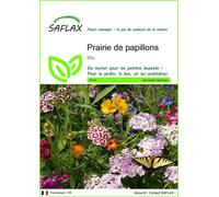 SAFLAX - Prairie de papillons - 1000 graines - Mix