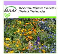 SAFLAX - Prairies de montagne - 1000 graines - 16 Sorten
