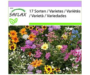 SAFLAX - Rêves de golfeurs - 1000 graines - 17 Sorten