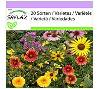 SAFLAX - Rêves d'oiseaux - 1000 graines - 20 Sorten