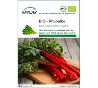 SAFLAX - BIO - Rhubarbe - 50 graines - Beta vulgaris