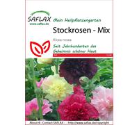 Saflax Rose Trémière - Mélange - 1 sachet