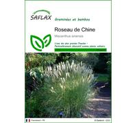 Saflax Roseau de Chine - 1 sachet