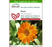 SAFLAX - Souci - 50 graines - Avec substrat - Calendula