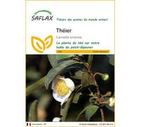 Saflax Théier - 1 sachet