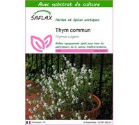 SAFLAX - Thym commun - 200 graines - Avec substrat - Thymus