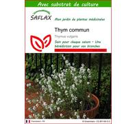 SAFLAX - Thym commun - 200 graines - Avec substrat - Thymus