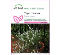 SAFLAX - Thym commun - 200 graines - Thymus