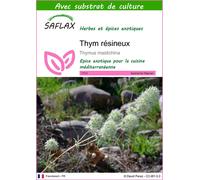 SAFLAX - Thym résineux - 250 graines - Avec substrat - Thymus