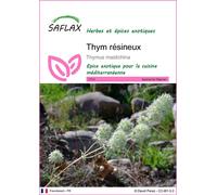 SAFLAX - Thym résineux - 250 graines - Thymus