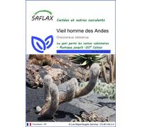 SAFLAX - Vieil homme des Andes - 40 graines - Oreocereus