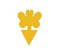 SagaSave Lot de 48 pièges à moucherons collants jaunes pour plantes, cuisine, intérieur et extérieur