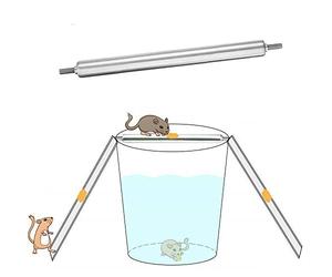 SagaSave Piège à souris Live Catch and Release Bucket Spin Roller pour souris, rats et rongeurs. Réinitialisation automatique sans danger pour l'extérieur et l'intérieur