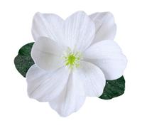 SageFurned Magnolia artificiel à paillettes pour décoration de sapin de Noël, 25 cm de diamètre, design pliable pour un rangement et une installation faciles, en or, rouge, blanc, bleu ou rose