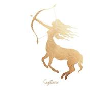 Sagittaire: Carnet de notes | Signe astrologique du Sagittaire | 120 pages lignées | Design sobre et élégant