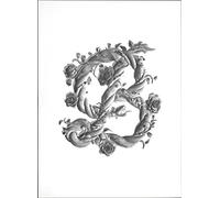 Sagmeister & Walsh: Beauty: Schönheit = Wahrheit / Schönheit = Funktion