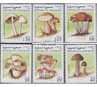 sahara édition le gouvernement en exil sans validité dans int. transports de courrier no.32 neuf avec gomme originale ** MNH 1997 Champignons (Timbres pour les collectionneurs) plantes / champignons