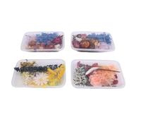 Sahgsa Lot de 4 boîtes de fleurs séchées vivantes - Assortiment élégant et mignon pour bougies d'aromathérapie, éventails et cadres photo