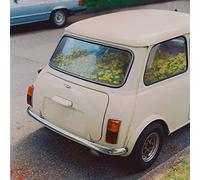 Said the Whale - Dandelion [Vinilo]