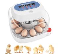 Sailnovo Incubateur d'œufs pour œufs à couver - 12 œufs - Avec 4 modes - Vue à 360° - Incubateur à œufs avec retournement automatique et contrôle de la température - Affichage de l'humidité (bleu)