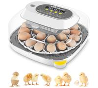 Sailnovo Couveuse Oeuf Automatique 24 Oeufs, Couveuses Oeuf Pour ufs de Volailles avec 4 Modes vue à 360°, Incubateur Oeuf Retournement Automatique des Oeufs et Contrôle de la Température (Gris)