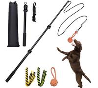 SailStart Bâton de flirt pour chiens - Robuste - 101,6 cm - Extensible - En alliage d'aluminium - Pour lunettes de taille grande/moyenne/petite - Jouet interactif pour intérieur/extérieur