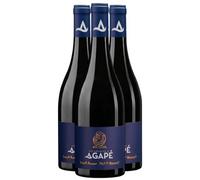Saint-Amour Côte de Besset - Rouge 2023 - Domaine les Sources d'Agapé - Vin Rouge du Beaujolais (3x75cl) BIO