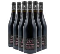 Saint-Amour - Rouge 2025 - Domaine les Côtes de la Roche - Vin Rouge du Beaujolais (6x75cl)