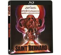 Saint Bernard