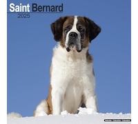 Saint Bernard Calendar 2025 Square Dog Breed Wall Calendar - 16 Month