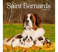 Saint Bernard Calendar 2027: Dog Portraits and Breed Scenes