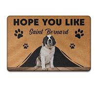 Saint Bernard, pour Cadeau Amoureux des Chiens Tapis De Bain Anti-Poussière Paillasson De Bienvenue Résister À La Saleté Tapis De Porte pour Terrasse Bain Salon 40X60Cm